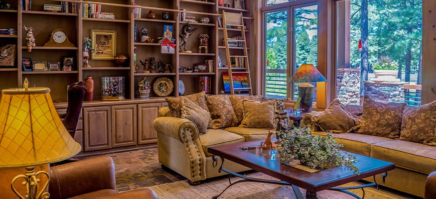 Living-room-interior-with-book-shelves